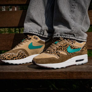 Brown Cheetah