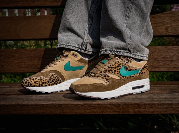 Brown Cheetah